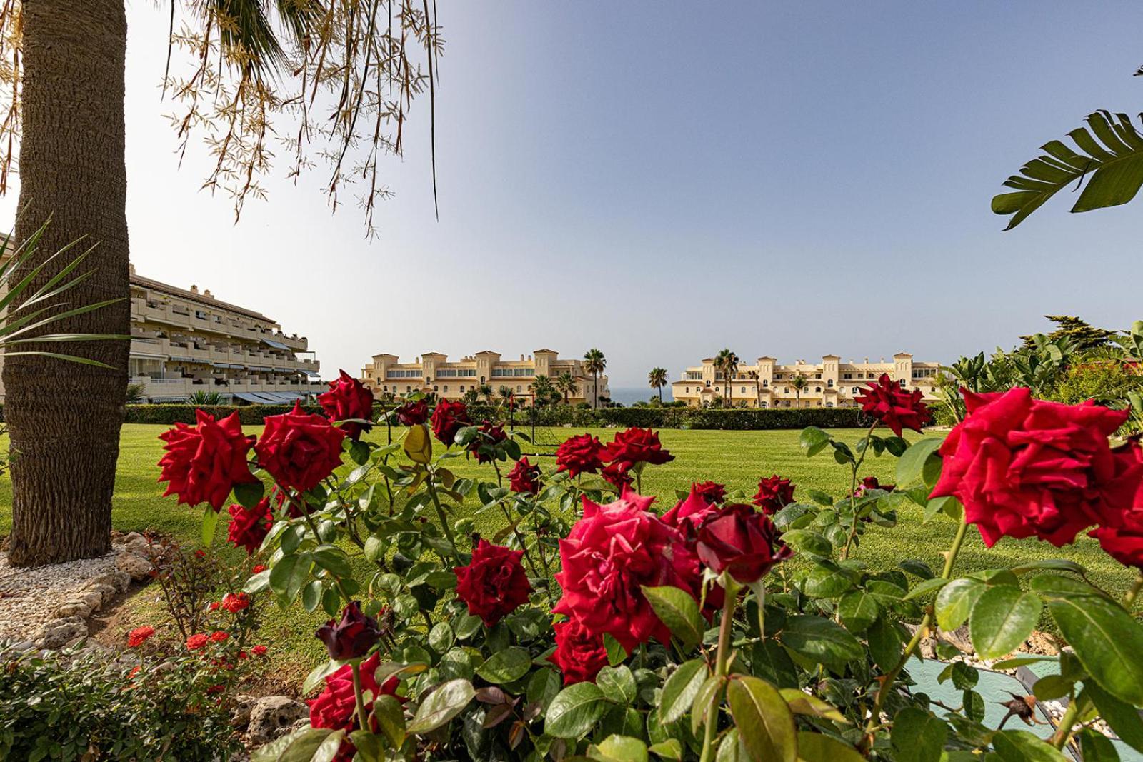 La Cala Gorgeous 2 Bedroom Apartment With Stunning Gardens, Pools And Sea Views El Faro Экстерьер фото